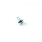 Haier Part# 00330802004A Washing Machine Tapping Screw (OEM)