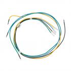 Hotpoint RGB540SEH3SA High Voltage Harness - Genuine OEM