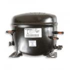 Kelvinator FMW220EN4T Compressor R12 With Electricals - Genuine OEM