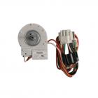 KitchenAid KRMF606ESS01 Evaporator Fan Motor - Genuine OEM