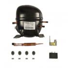 KitchenAid KSRV22FVMS02 Compressor Kit Genuine OEM