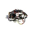 Samsung DV42H5200EW/A3-04 Main Wire Harness  - Genuine OEM