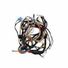 Samsung DVE50M7450W Main Wire Harness - Genuine OEM