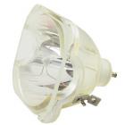 Samsung HL50A650C1FXZA Lamp (Only) Genuine OEM