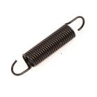 Samsung ME17H703SHS/AA Door Spring - Genuine OEM